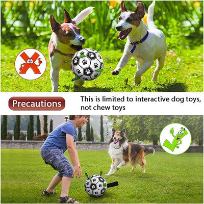 Interactive Dog Soccer Ball Toy