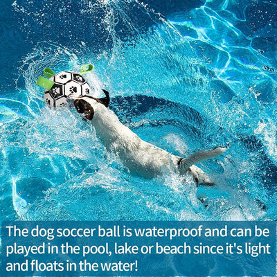 Interactive Dog Soccer Ball Toy